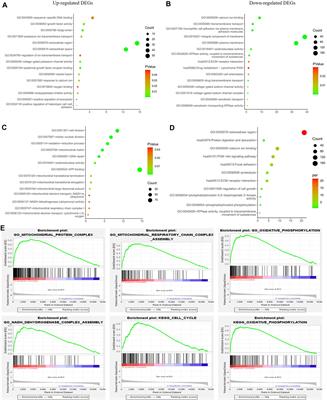 Comprehensive Analysis of the Implication of PGRMC1 in Triple-Negative Breast Cancer